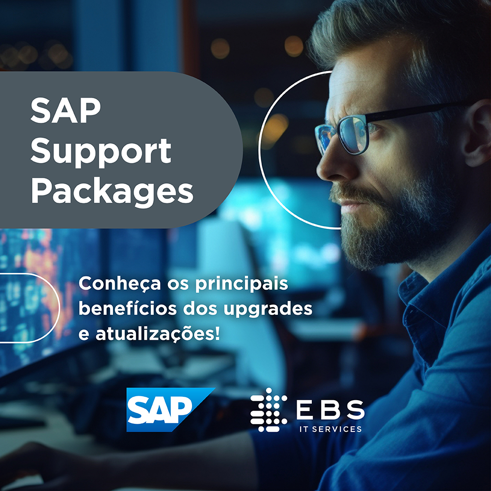 LAYOUT 02 – SAP – EBS-IT